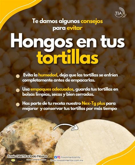 Guía visual para almacenar tortillas de maíz