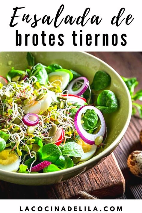 Variedad de brotes listos para ensalada