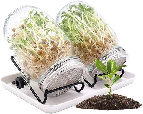 Frascos de vidrio con tapas germinadoras para brotes