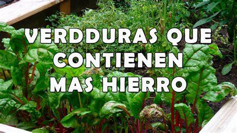 Verduras de hoja verde ricas en hierro