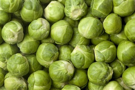 Coles de Bruselas frescas