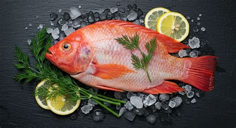 Tilapia roja en el mar