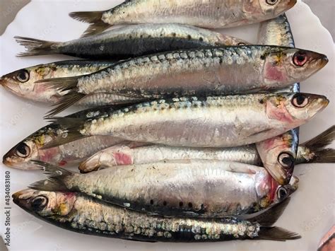 Sardinas frescas en un plato