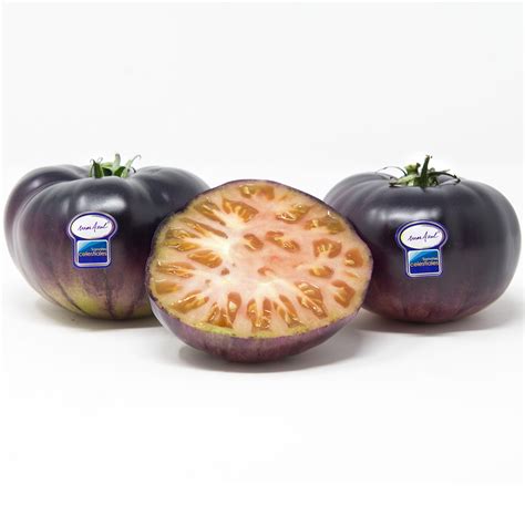 Tomate Mar Azul