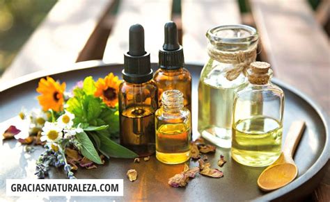 Fotografía de varios productos cosméticos que contienen extracto de brócoli.