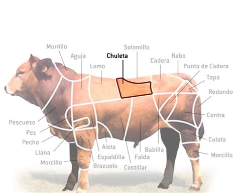 Ilustración del corte de entrecot y su ubicación en el animal