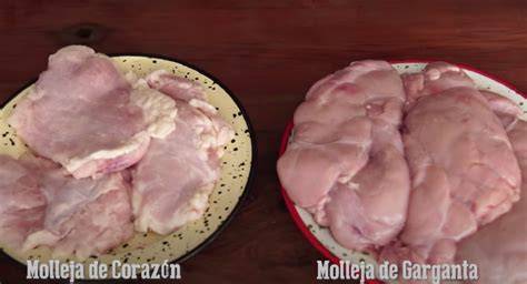 Diferencias entre mollejas de ave y mollejas de mamíferos