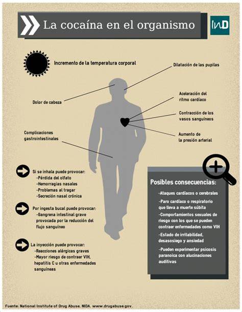 Infografía: Efectos de la cocaína en el cuerpo y la mente