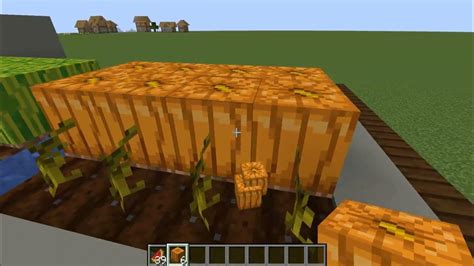 Campo de calabazas en Minecraft