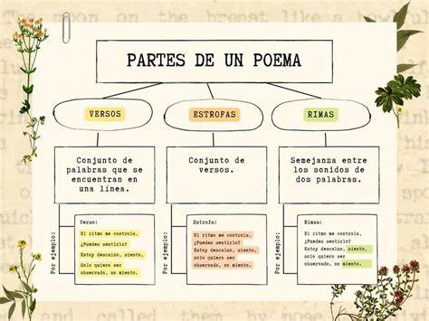 Esquema de las partes de la pasta de soldar