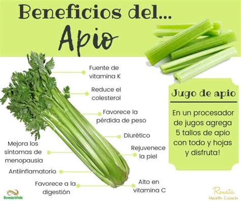Infografía: Beneficios del zumo de calabacín y apio para el hígado