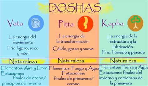 Infografía sobre los doshas en la dieta ayurvédica