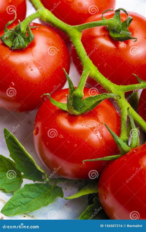 Tomates rojos frescos y maduros