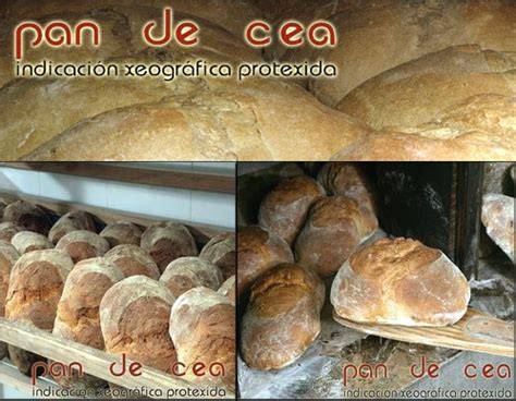 Pan de Cea y Pan de Cruz, mostrando sus características distintivas