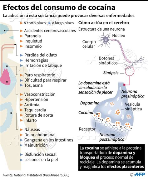 Infografía sobre los efectos cardiovasculares de la cocaína