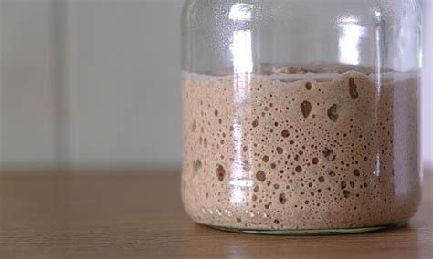 Masa madre fermentando