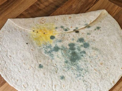 Tortillas con moho