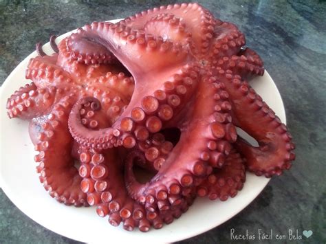 Pulpo cocido en Thermomix