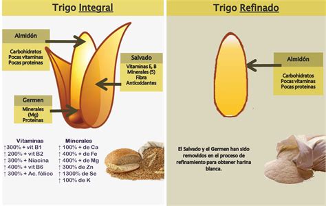 Diferencia visual entre grano integral y refinado