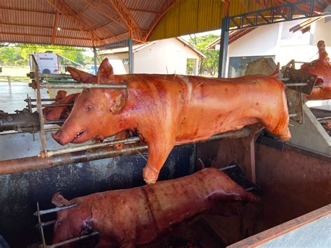 Porco no rolete en Brasil