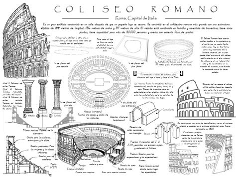 Esquema del Coliseo Romano con sus diferentes secciones