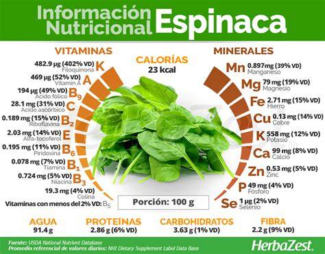 Infografía: Propiedades nutricionales de las espinacas