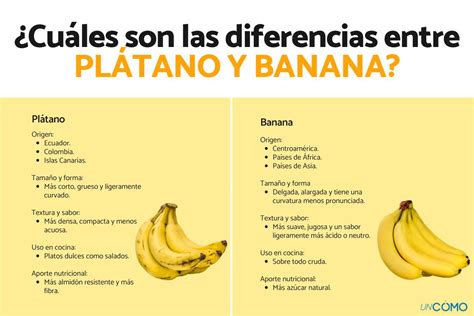 Diferencias entre plátano macho y banana clásica