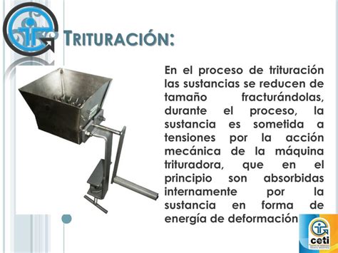 Proceso de triturado de naranjas enteras para bizcocho