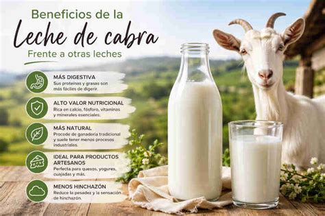 Glóbulos de grasa de la leche de cabra