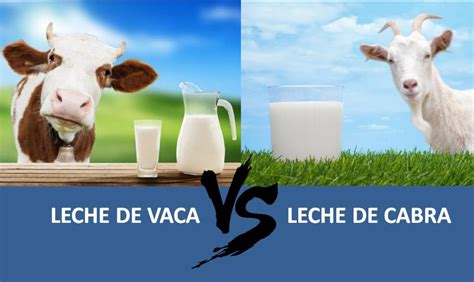 Tabla comparativa de nutrientes leche de cabra vs leche de vaca