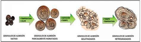 Diagrama de la formación de almidón resistente en patatas