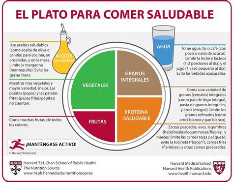 Plato de Harvard con las proporciones adecuadas de alimentos