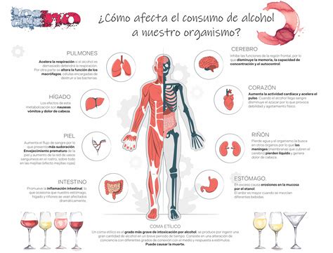 Infografía sobre los efectos del alcohol en el cuerpo