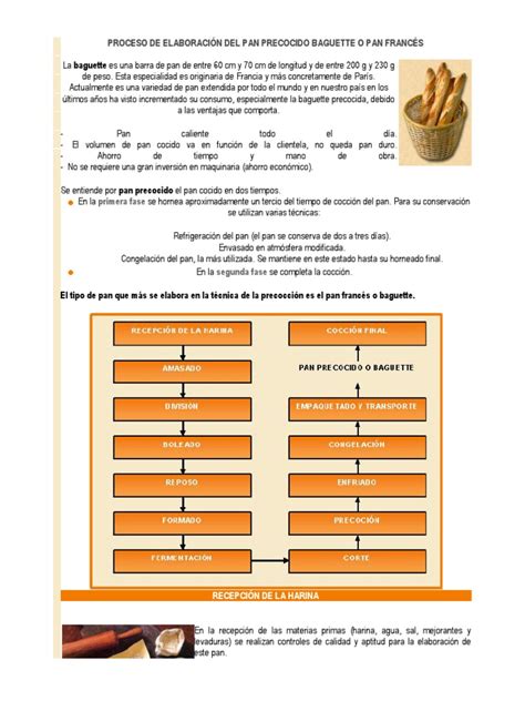 Proceso de elaboración de pan precocido