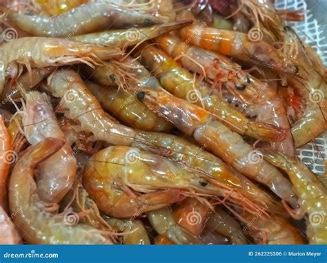 Gambas frescas en un mercado
