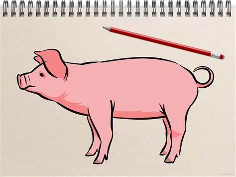 Mujer introduciendo un cerdo en un megarón para las Tesmoforias