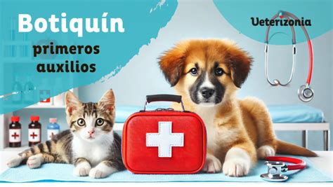 Botiquín de primeros auxilios para gatos