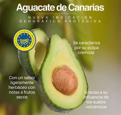 Aguacate de Canarias