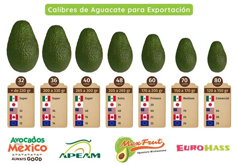 Comparativa nutricional del aguacate