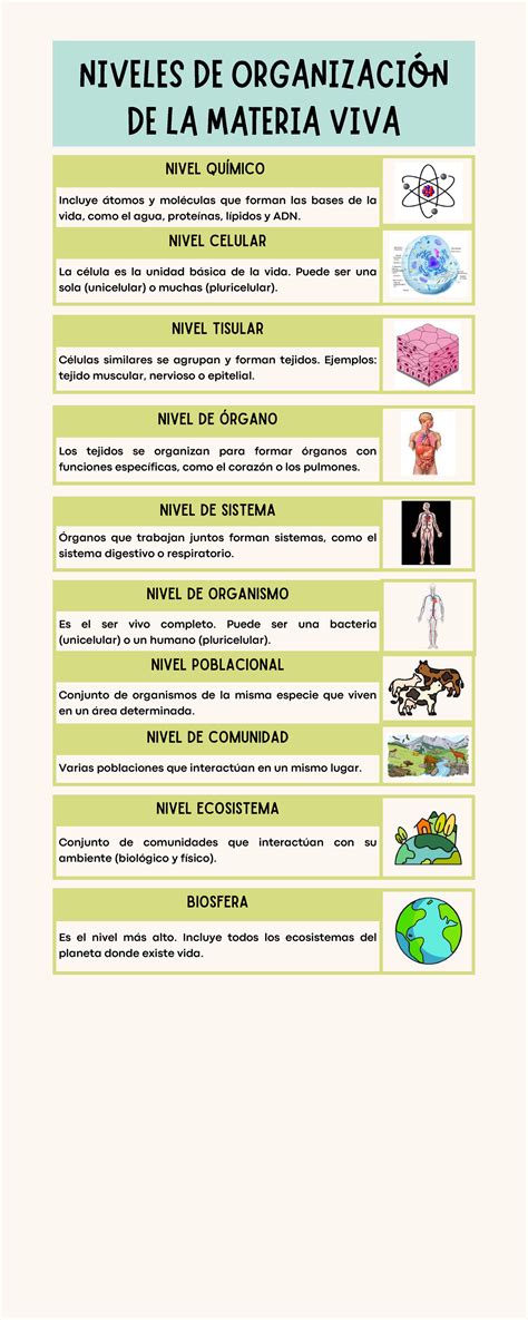 Infografía sobre los niveles del programa Star Club