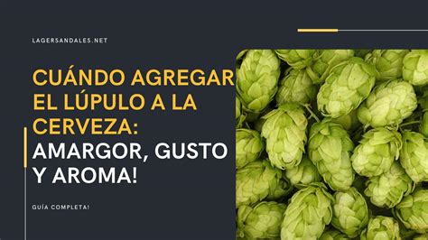 Tiempos de adición de lúpulo para diferentes características