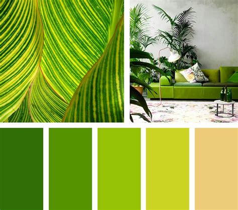 Paleta de colores mostrando combinaciones con verde