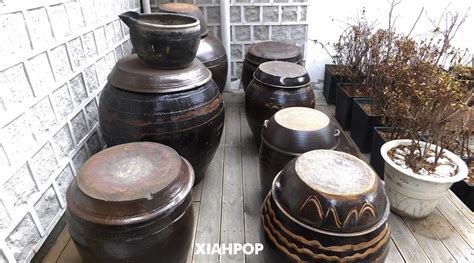 Jangdokdae: recipientes de barro coreanos para la fermentación de alimentos