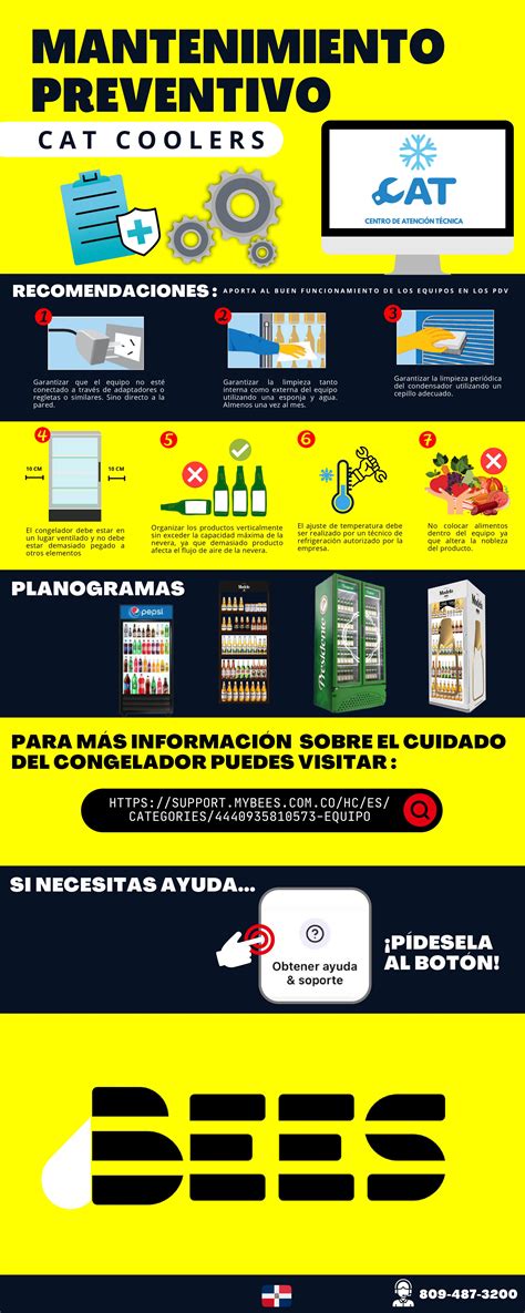 Infografía sobre consejos de mantenimiento para canalones