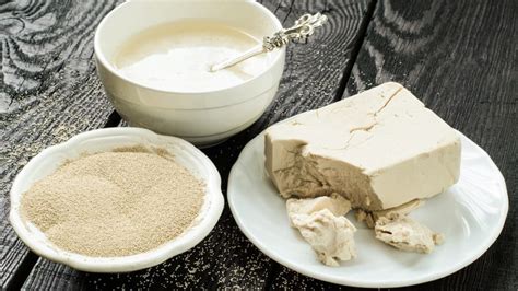 Diferentes tipos de levadura (seca, fresca, química)