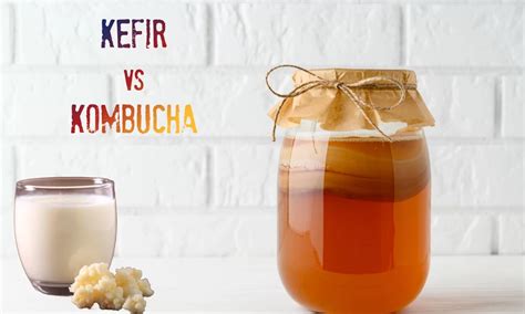 Botellas de kéfir y kombucha en un estante refrigerado