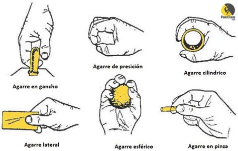 Tipos de agarre del bebé: palmar y pinza