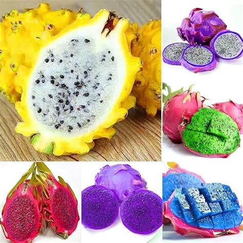 Variedades de pitaya y sus colores