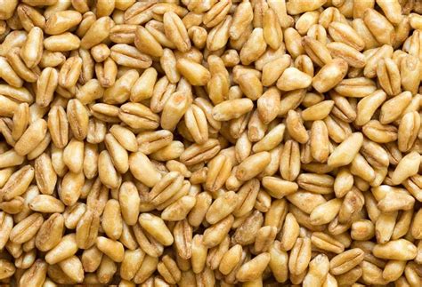 Grano de espelta y trigo duro