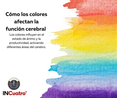 Esquema de cómo los edulcorantes afectan el cerebro